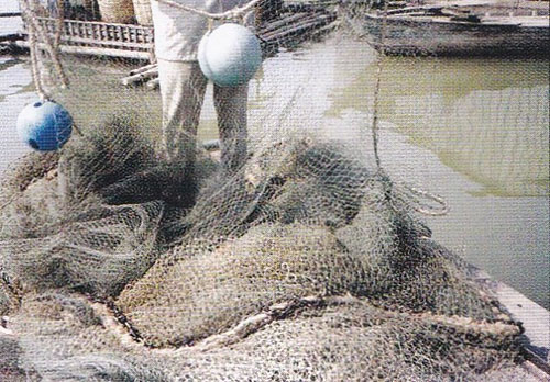 Filet de pêche(Laos - Cambodge)