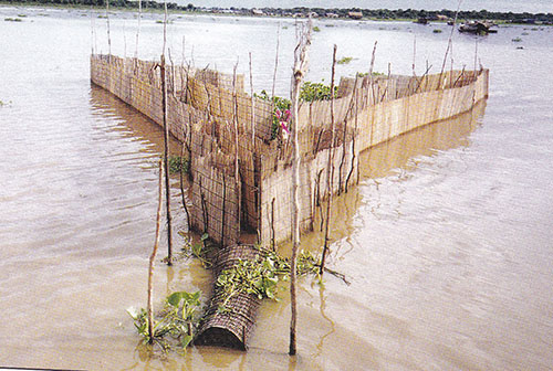 Système de clôture en forme de flèche avec piège, capture des poissons (Laos) et lac Tonle Sap- (Cambodge)