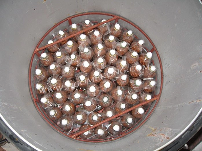 Autoclave champignons