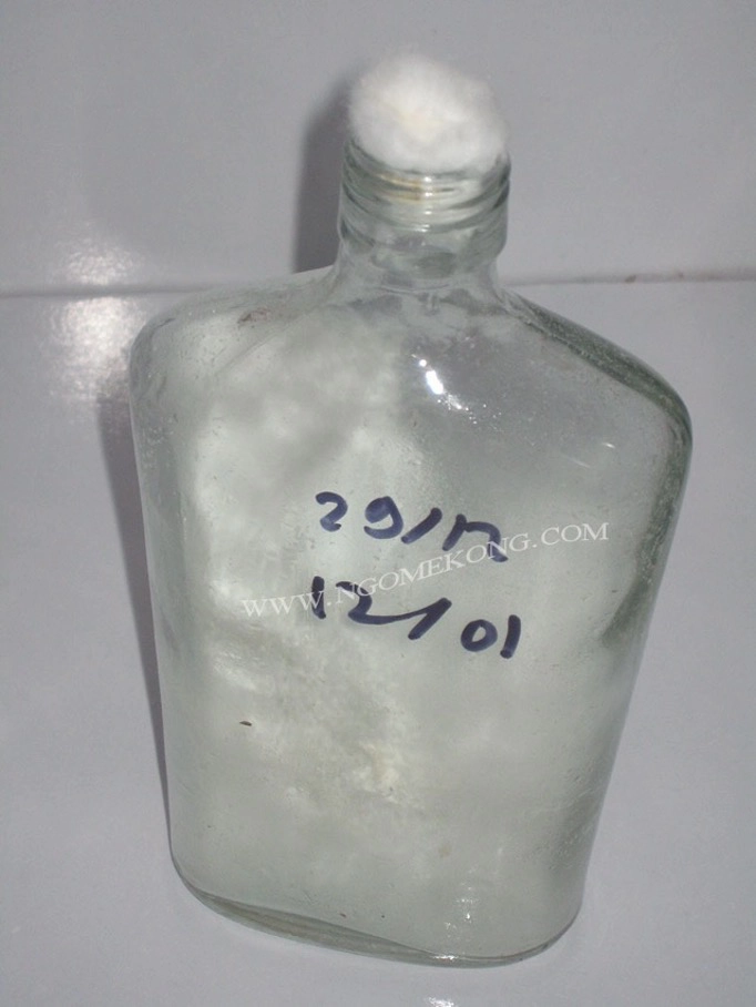 Colonisation du Mycélium