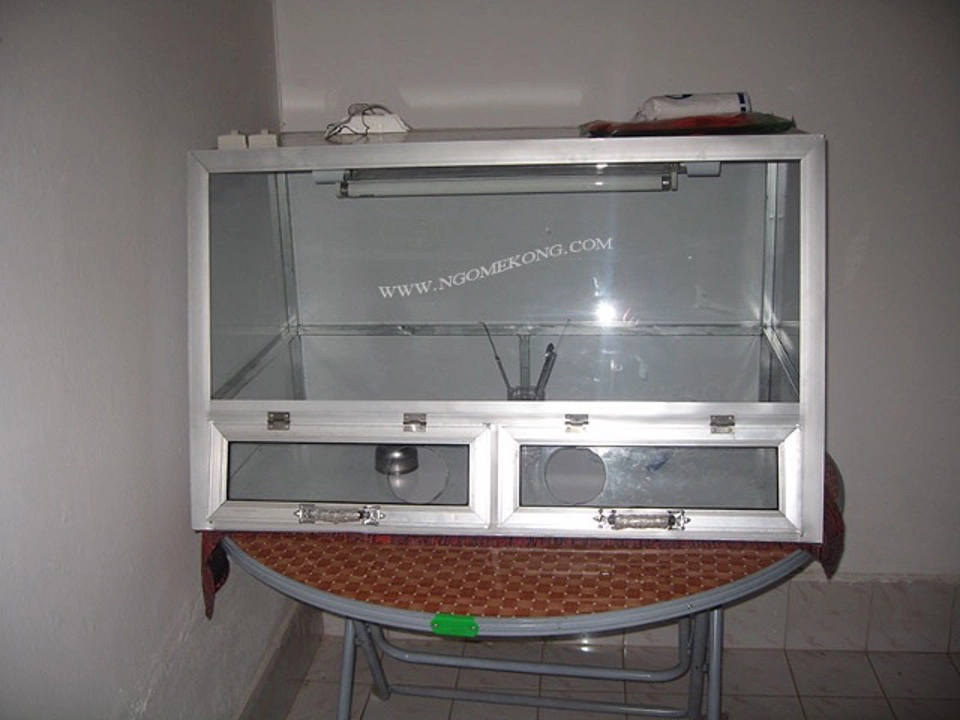 Chambre stérile pour bouturage